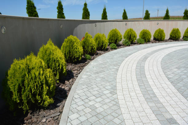 Best Commercial Driveway Pavers  in San Luis, AZ